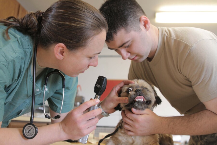 L‘ANIMALISTA - opuscolo dell'ordine dei medici veterinari della Provincia di Bolzano