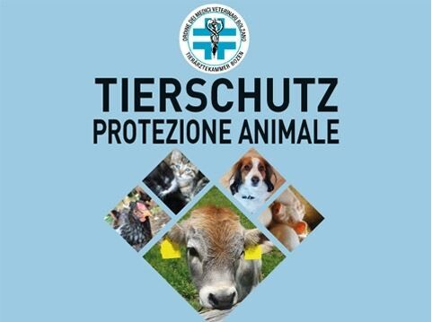 Ordine dei Medici Veterinari Alto Adige: opuscolo gratuito sulla protezione animale!