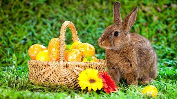 Orari di apertura Ufficio Stato Civile per Pasqua